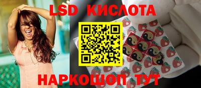 стаф Новокубанск