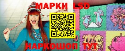 гашик Новозыбков