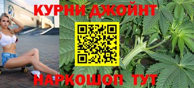 гашик Новозыбков