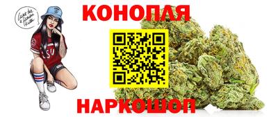 стаф Новокубанск