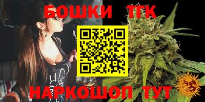 стаф Новокубанск