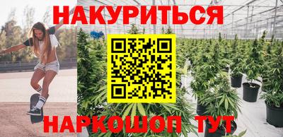 гашик Новозыбков