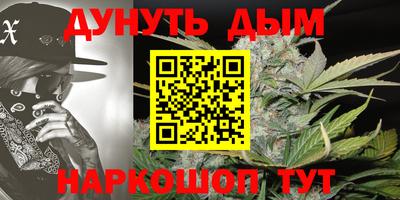 гашик Новозыбков