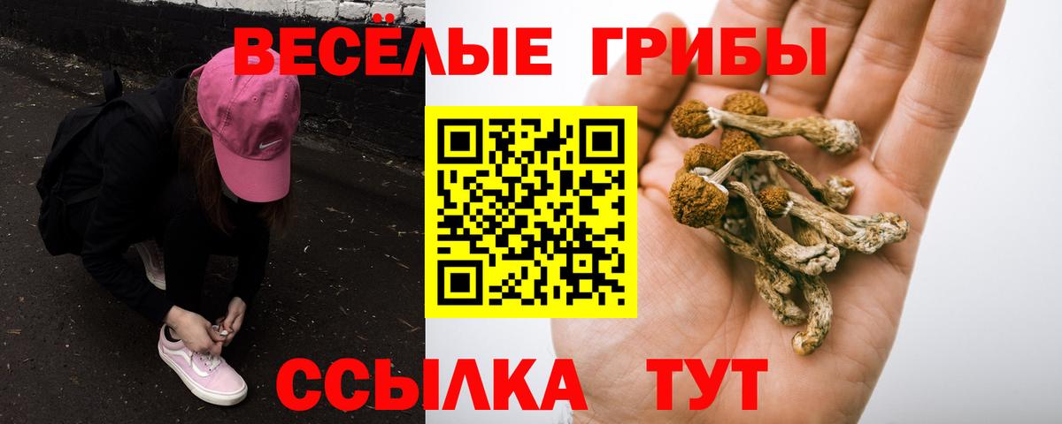 Тула  Псилоцибиновые грибы Cubensis  Вход с VPN  Псилоцибиновые грибы мухоморы 
